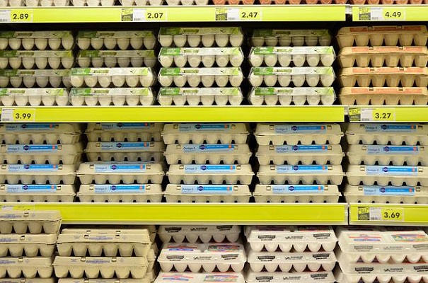 eggs at the grocery store